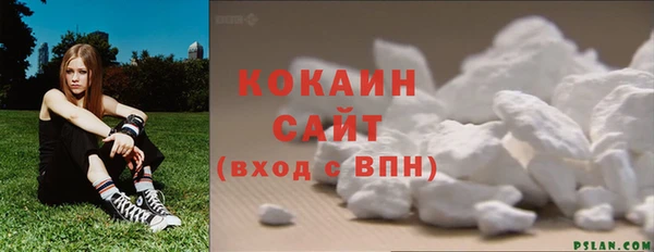 Альфа ПВП Аркадак