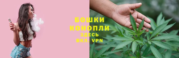 амф Арсеньев