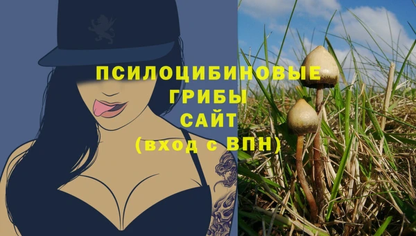 Альфа ПВП Аркадак