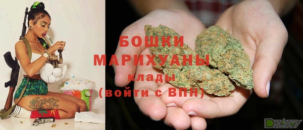 амф Арсеньев