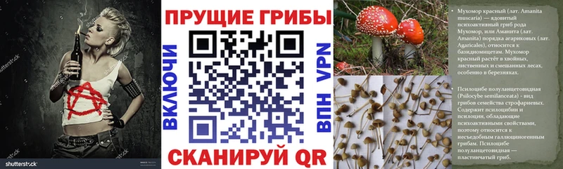 дарнет шоп  Уварово  Галлюциногенные грибы Cubensis 